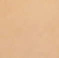 LT0108-729A-BD-NoPatch-EL